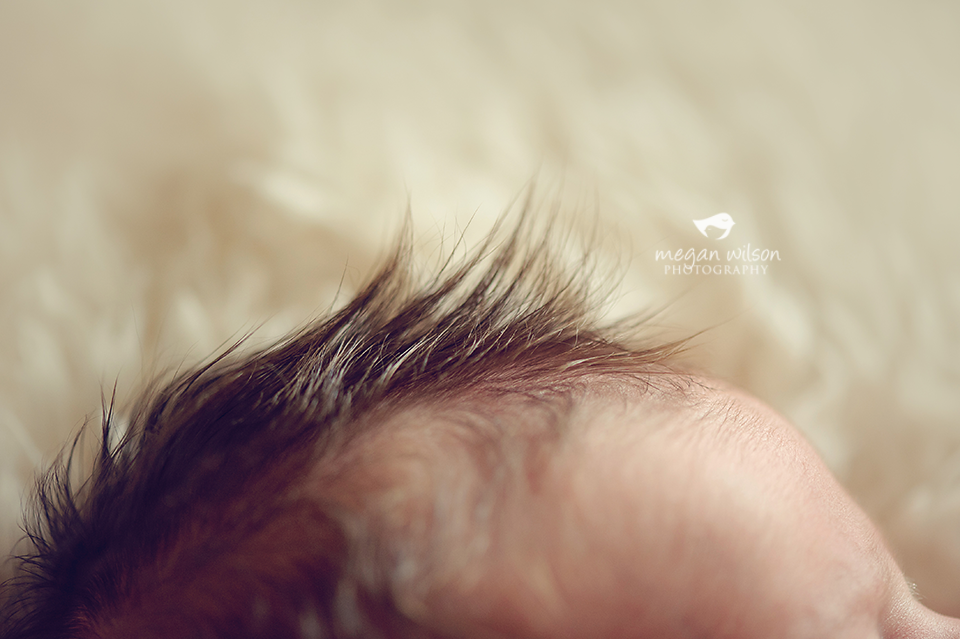 Atlanta Newborn Photographer