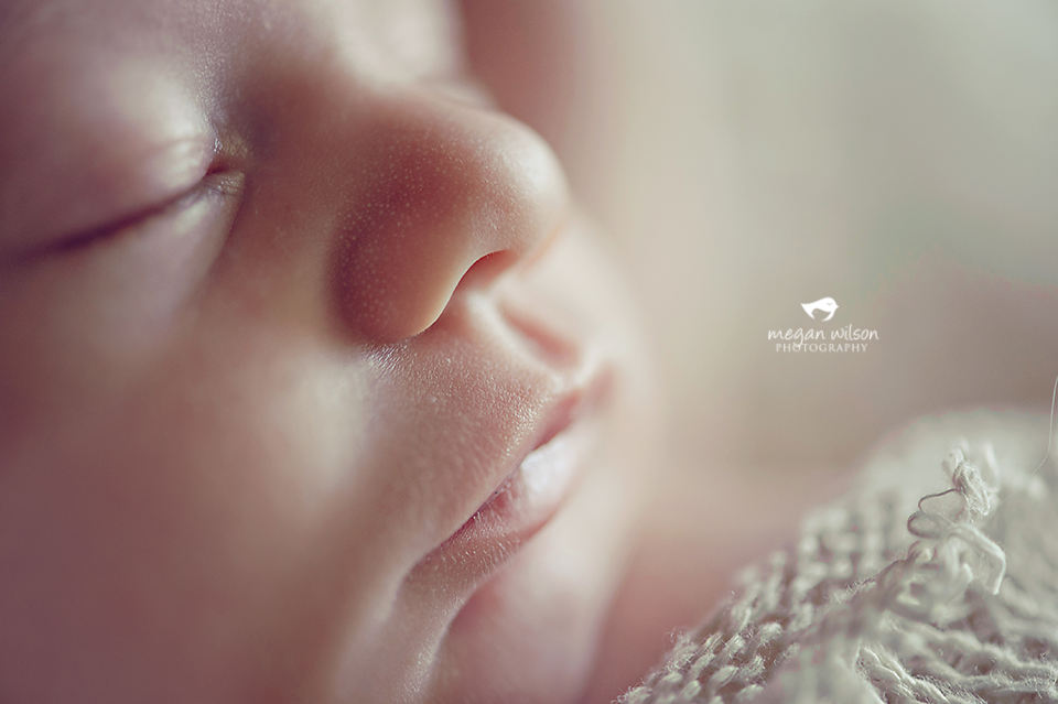 Atlanta Newborn Photographer
