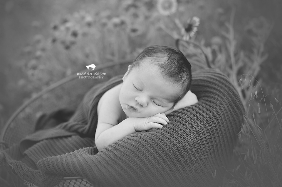 Atlanta Newborn Photographer