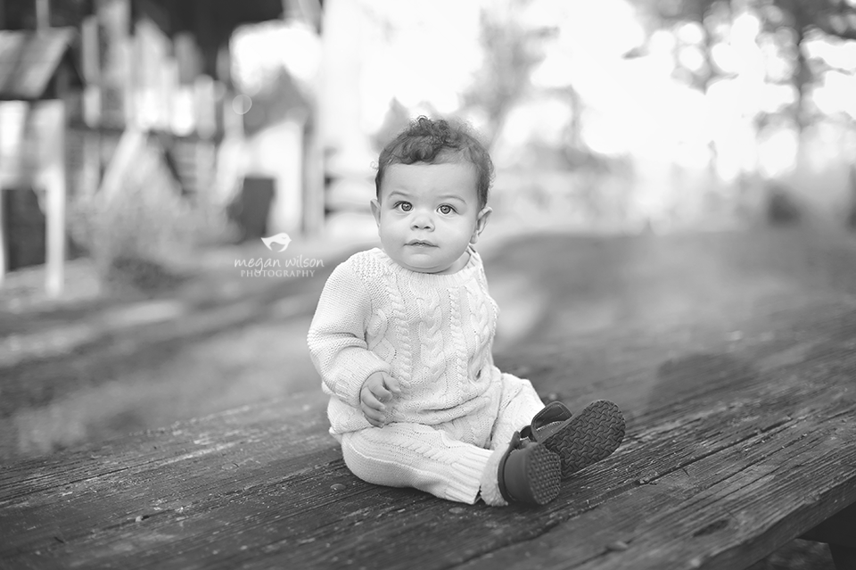 Powder Springs Baby Photographer