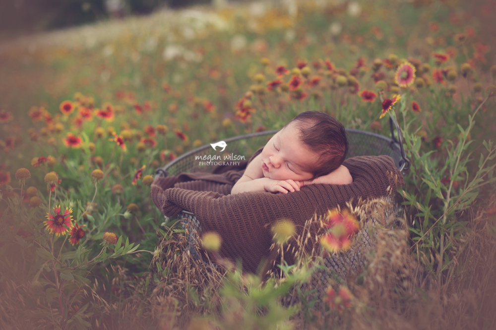 Atlanta Newborn Photographer
