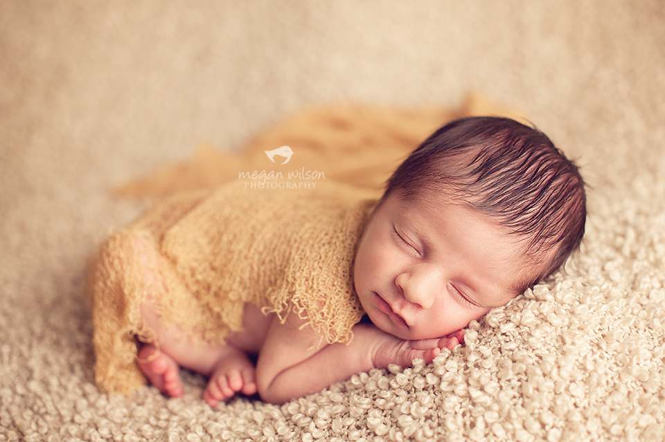 Roswell Newborn Photographer