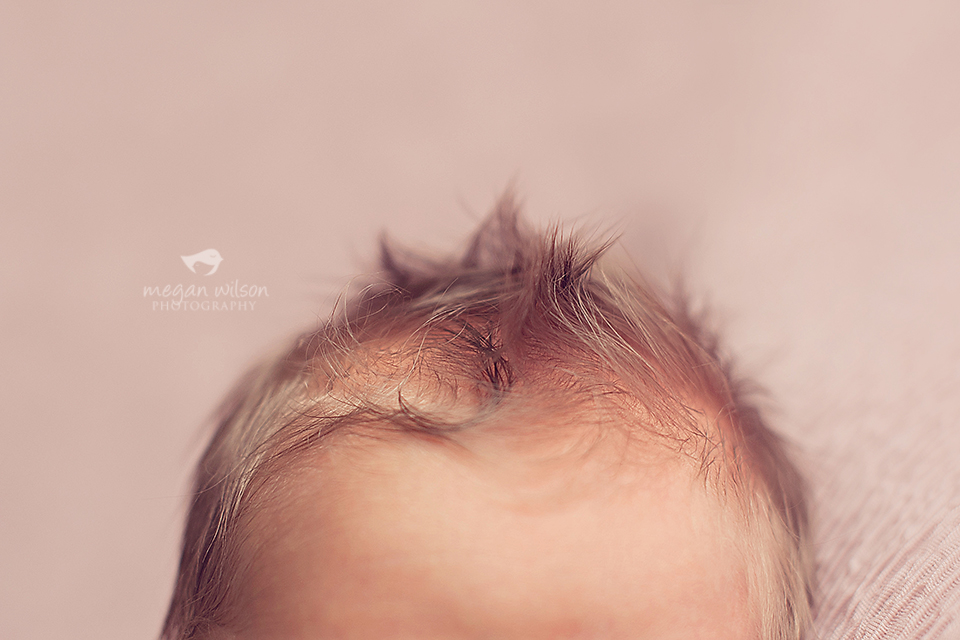 Atlanta Newborn Photographer