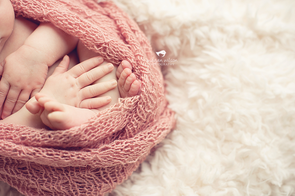 Atlanta Newborn Photography