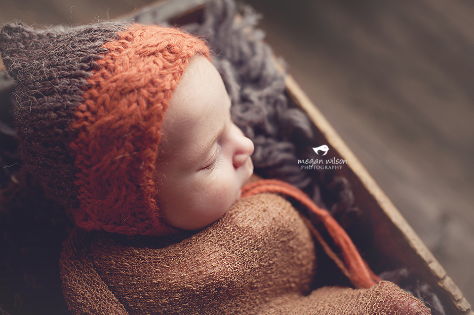 Atlanta Newborn Photographer