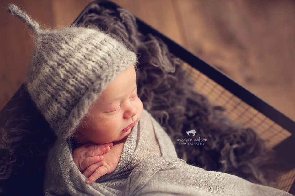 Milton Newborn Photographer