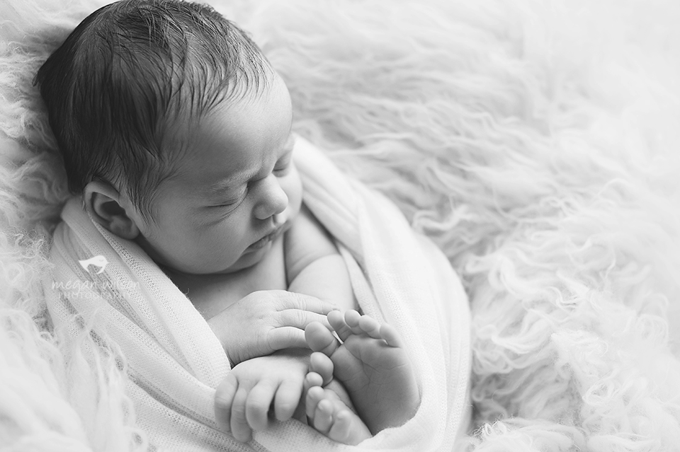 Milton Newborn Photographer