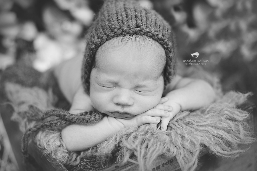 Atlanta Newborn Photography