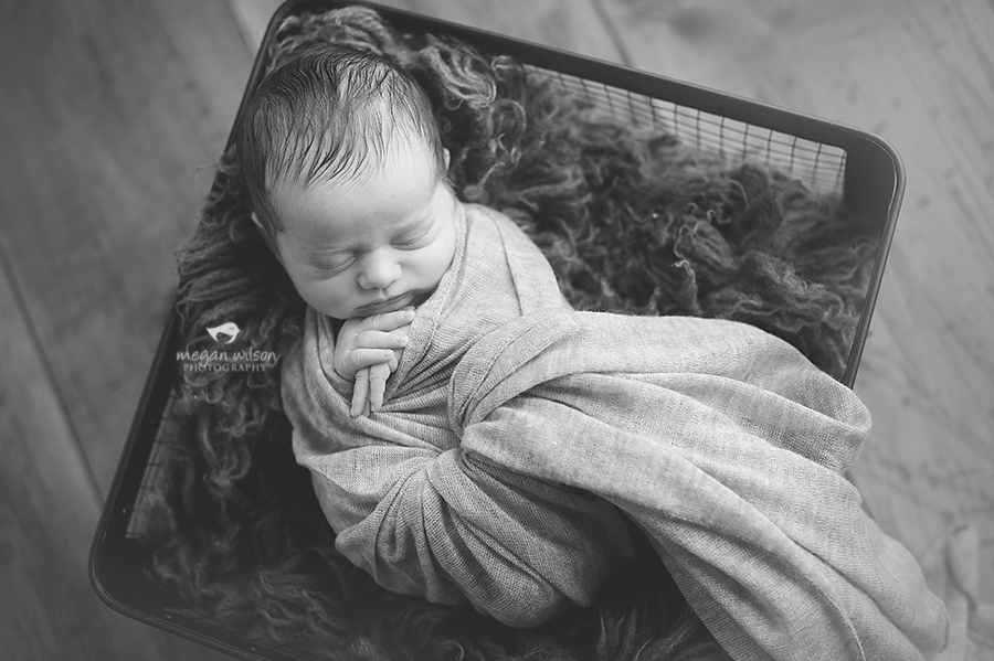 Milton Newborn Photographer