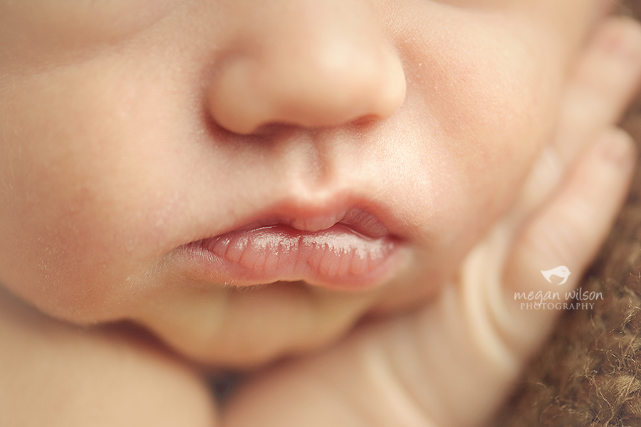 Atlanta Newborn Photography