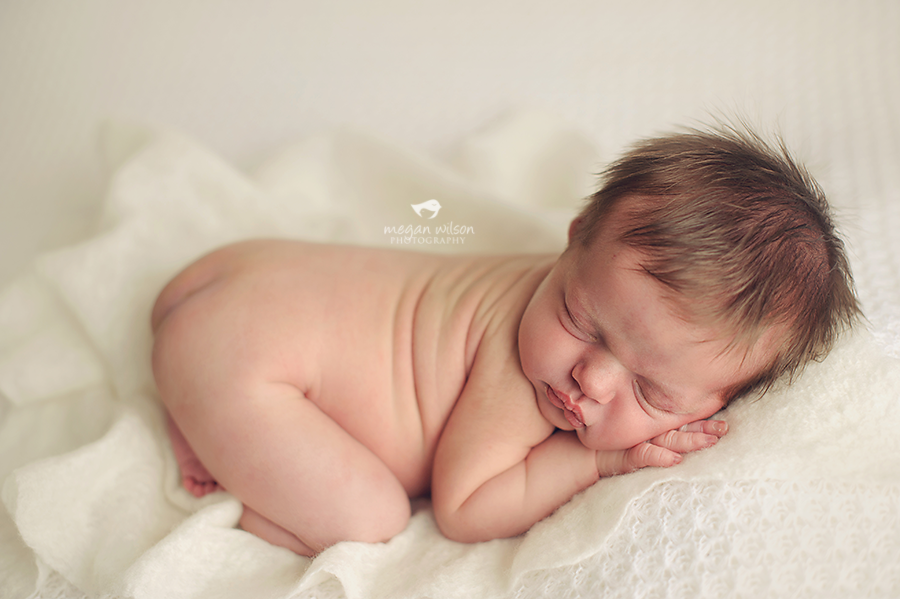 Gainesville Newborn Photography