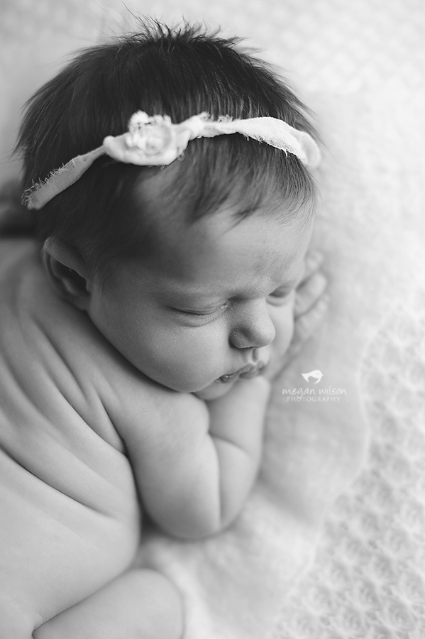 Gainesville Newborn Photography
