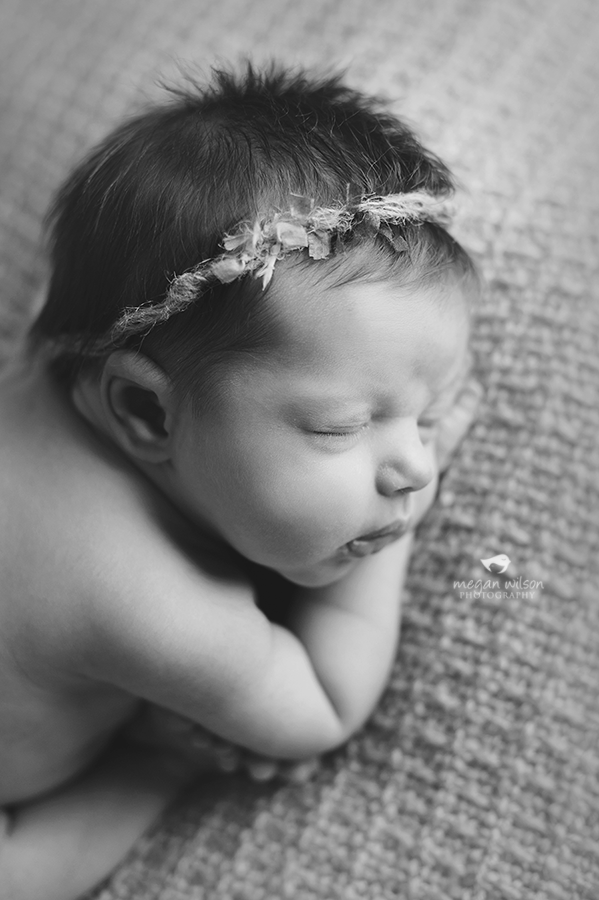 Gainesville Newborn Photography