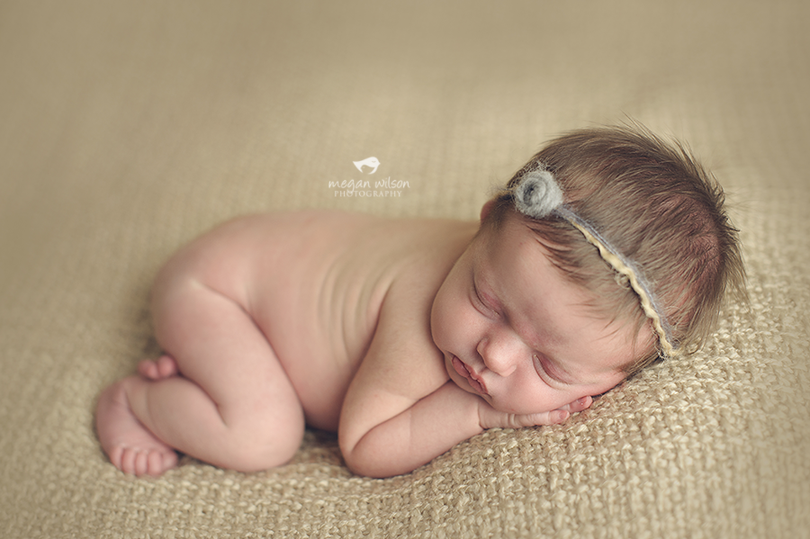 Gainesville Newborn Photography