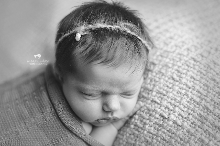 Gainesville Newborn Photography