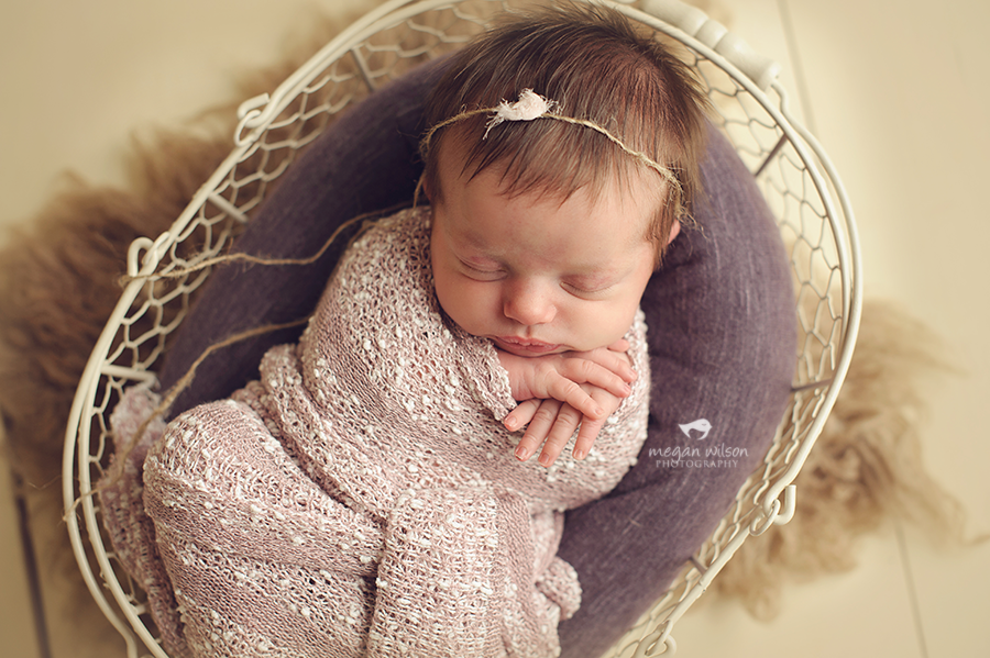 Gainesville Newborn Photography