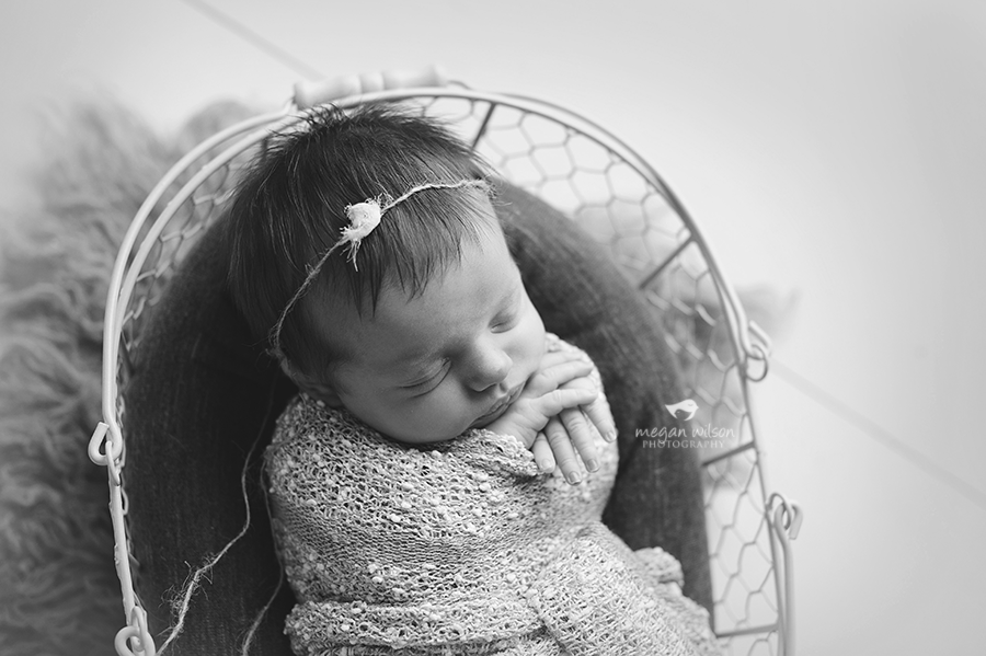 Gainesville Newborn Photography