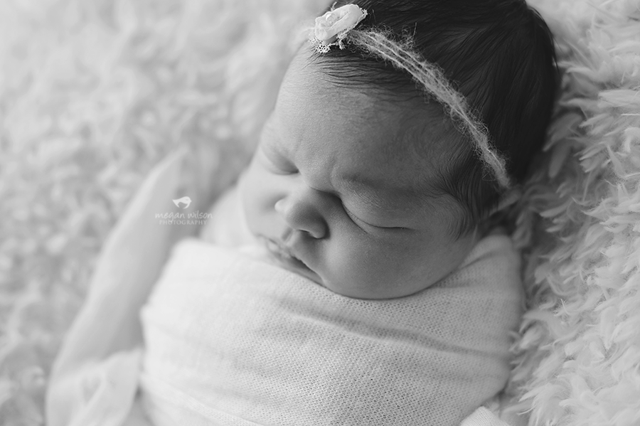 Roswell Newborn Photography