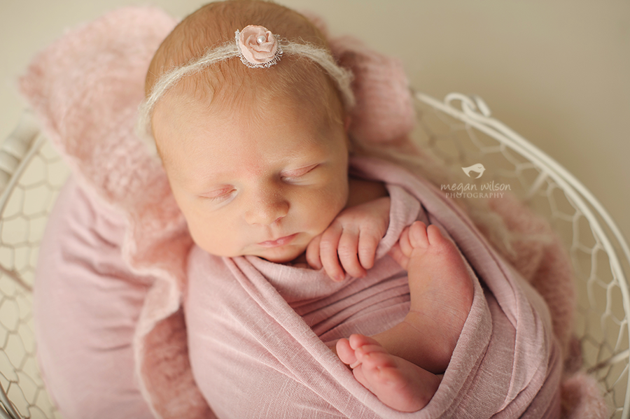 Woodstock Twin Newborn Photographer
