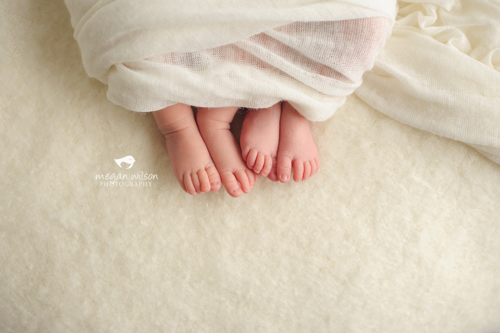 Woodstock Twin Newborn Photographer