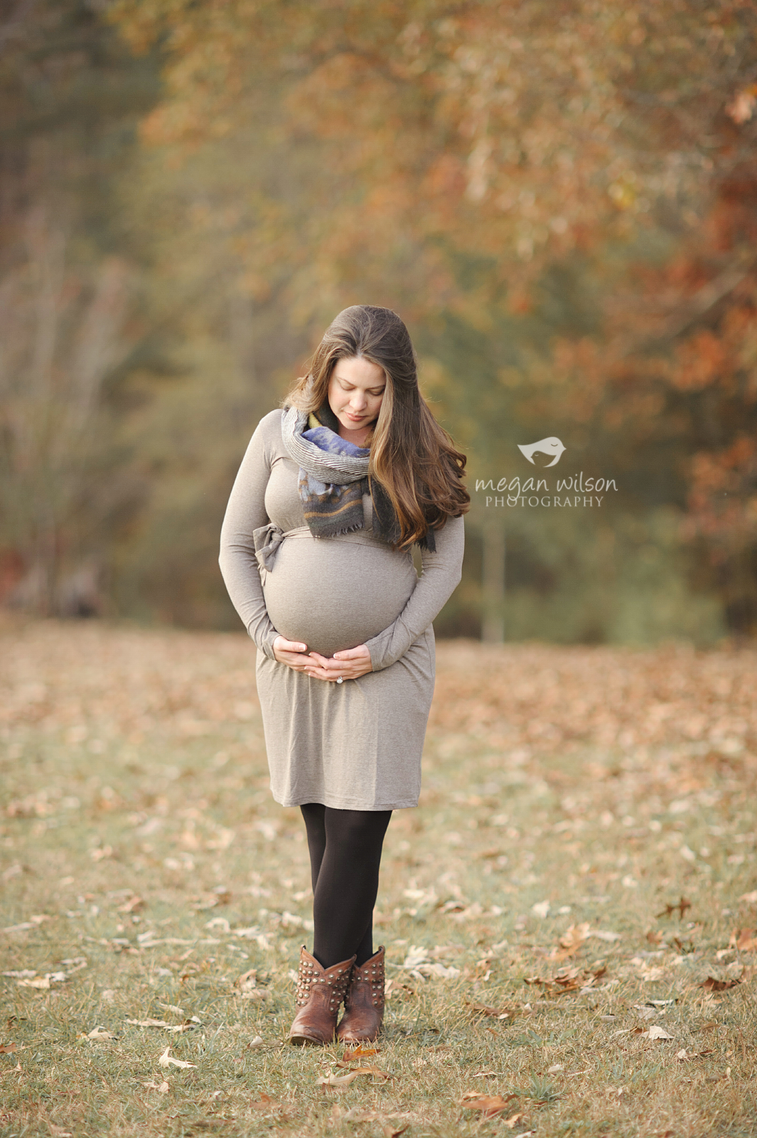 Alpharetta Maternity Photographer