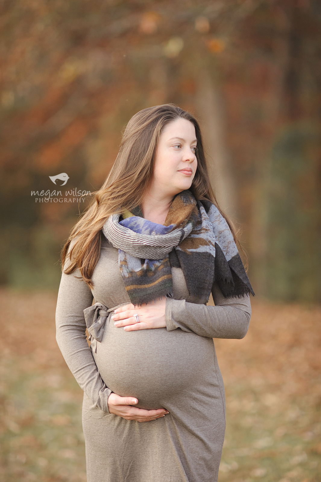 Alpharetta Maternity Photographer