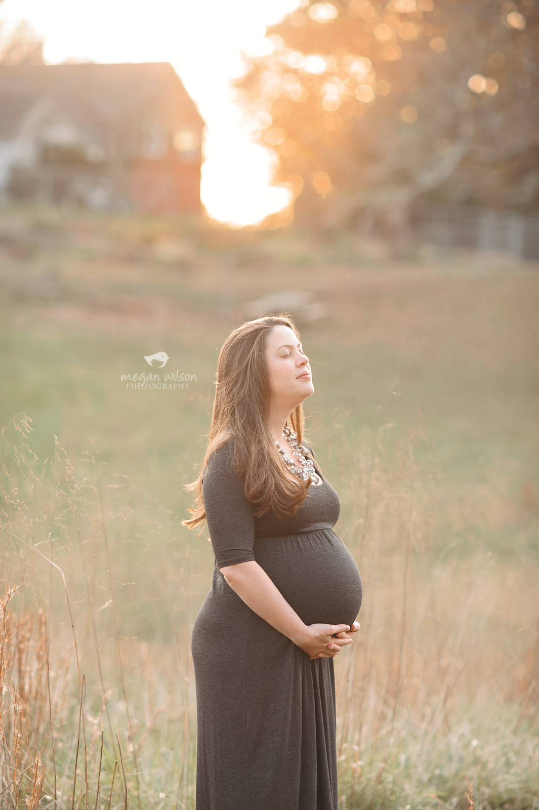 Alpharetta Maternity Photographer