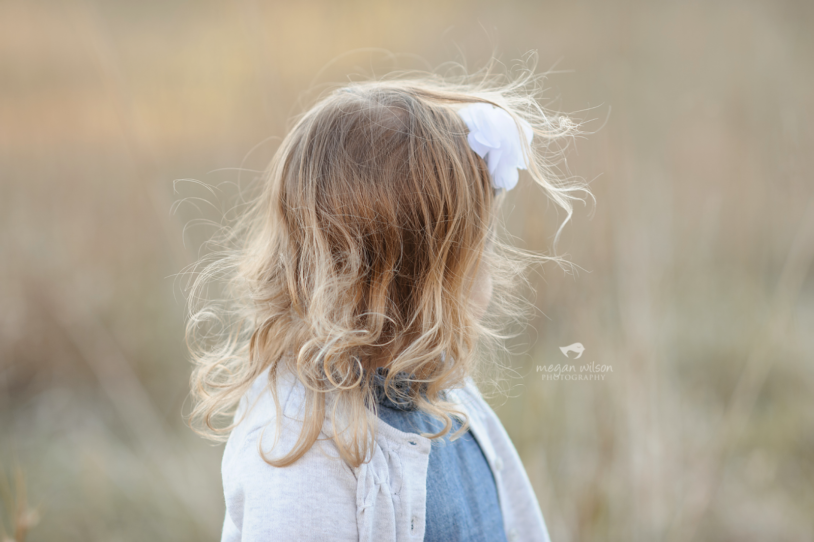 Roswell Family Photography