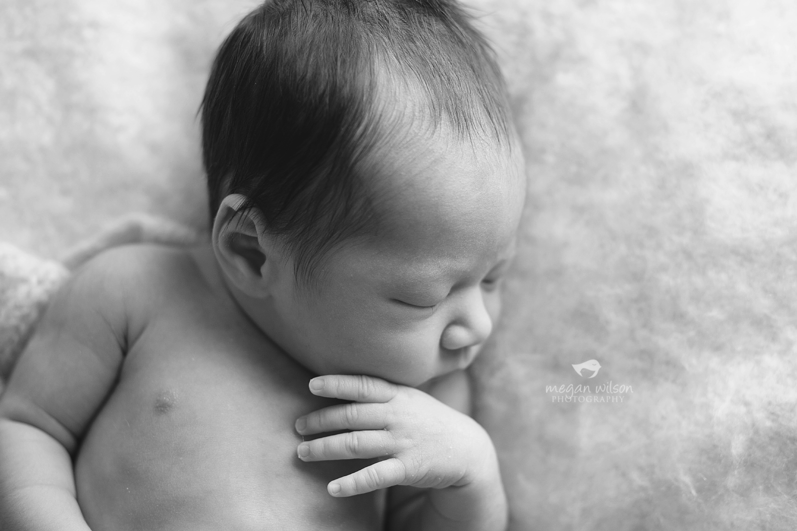 Atlanta Newborn Photographer