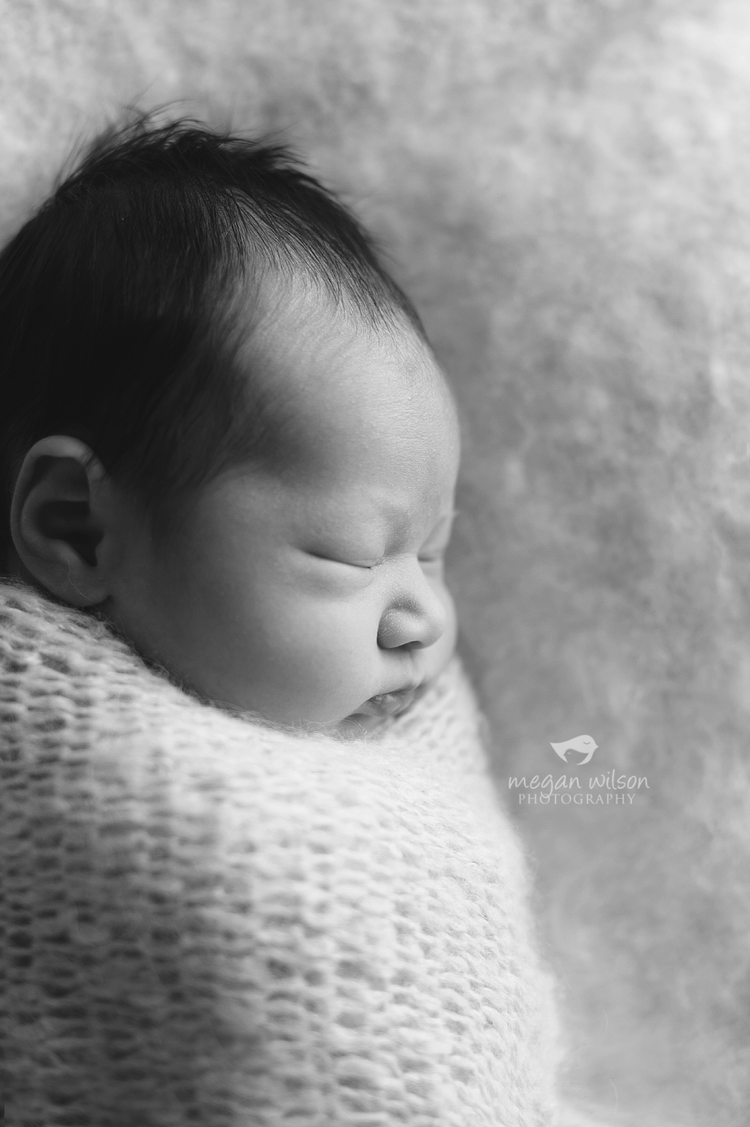 Atlanta Newborn Photographer