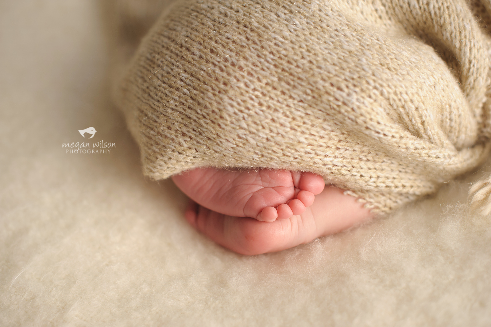 Alpharetta Newborn Photographer